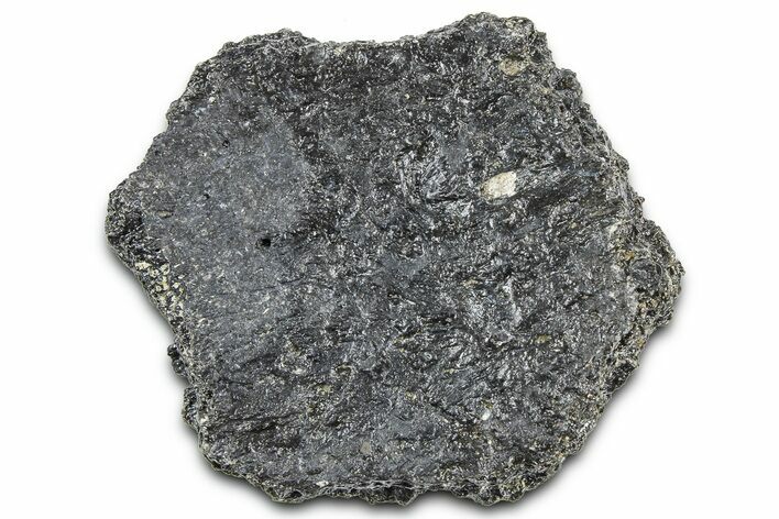 Fossil Glyptodont (Glyptotherium) Bony Armor Osteoderm - Florida #362345